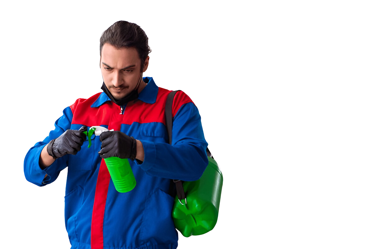 Untitled design (12)